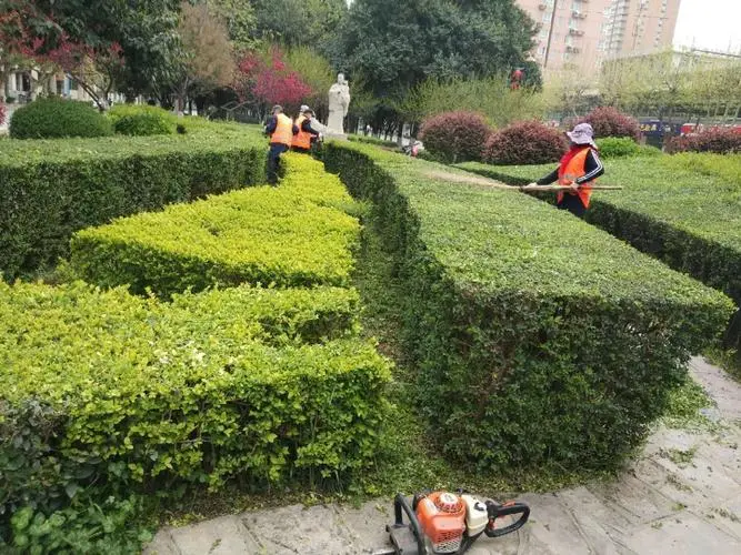 宿迁市边坡绿化工程招标