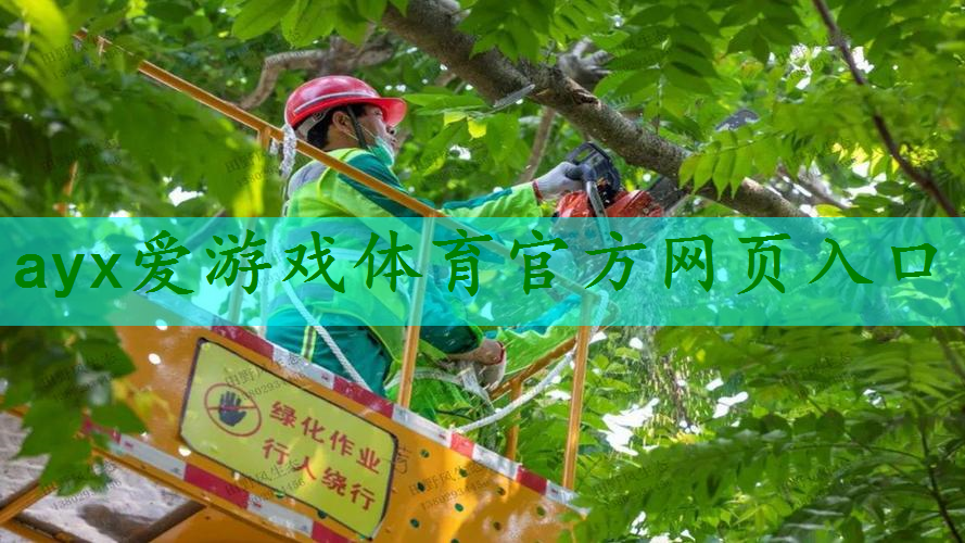 园林管理亟需提升，景观设计不尽人意