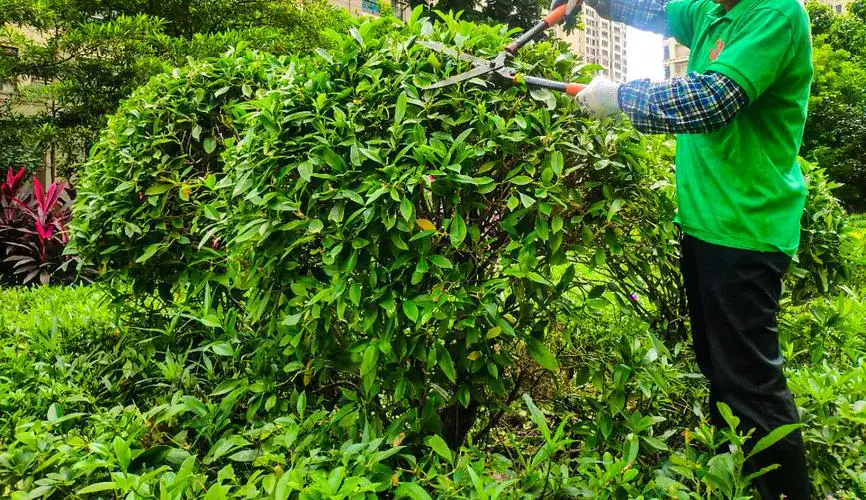 动物园园林管理面临挑战，公众呼吁加强保护野生动植物！
